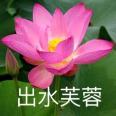 伏妖纪手游下载