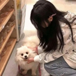 爱玩游戏盒子下载